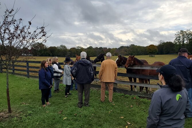 Triple Crown Experience - Enhancing Your Tour Experience