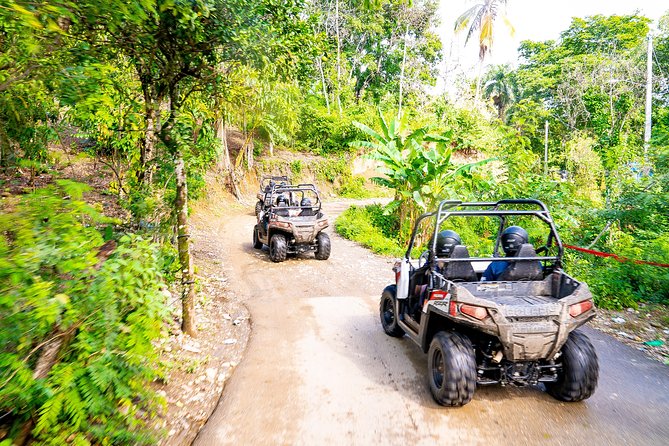 Triple Fun! Monkeyland + Damajagua Waterfalls + Buggies From Puerto Plata - Included Experiences