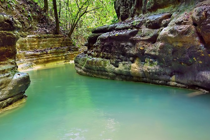 Triple Fun! Monkeyland + Damajagua Waterfalls + Buggies From Puerto Plata - Ratings and Reviews