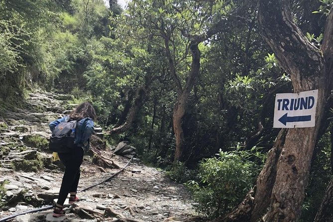 Triund Trek - Additional Important Information
