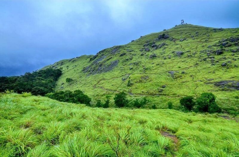 Trivandrum: Private Car Hire With Driver and Flexible Hours - Thiruvananthapuram Zoo