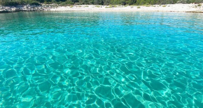 Trogir: Blue Lagoon, Maslinica, and Solinska Bay Boat Tour - Customer Feedback