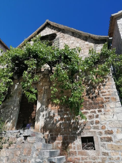 Trogir; Private Walking Tour of Higlights of Trogir - Palaces and Noble Families