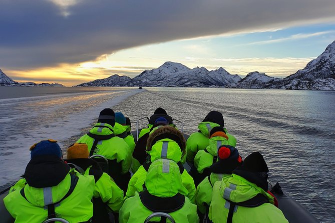 Trollfjord and Sea Eagle Safari Tour From Svolvaer - Meeting Point and Transportation