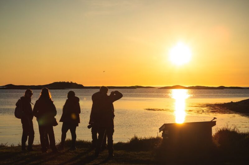 Tromsø: 1-Way Bus and Ferry Transfer To/From Lofoten - National Scenic Routes