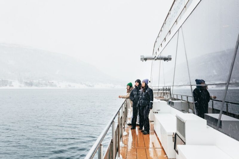 Tromsø: Arctic Fjord Cruise by Hybrid-Electric Catamaran - Vessel and Sustainability
