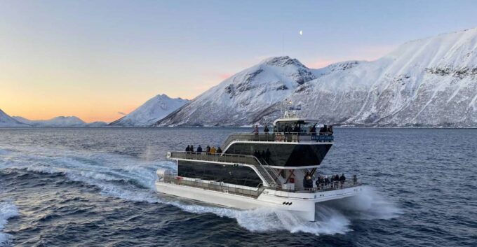 Tromsø: Arctic Fjord Cruise by Hybrid-Electric Catamaran - Customer Ratings and Feedback