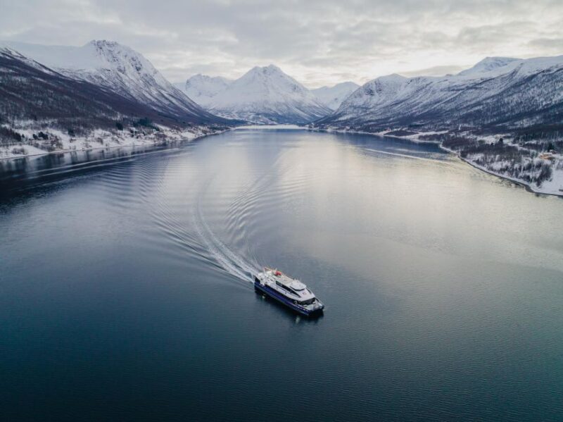 Tromsø: Arctic Fjord Cruise in Polar Landscapes - Participant Information