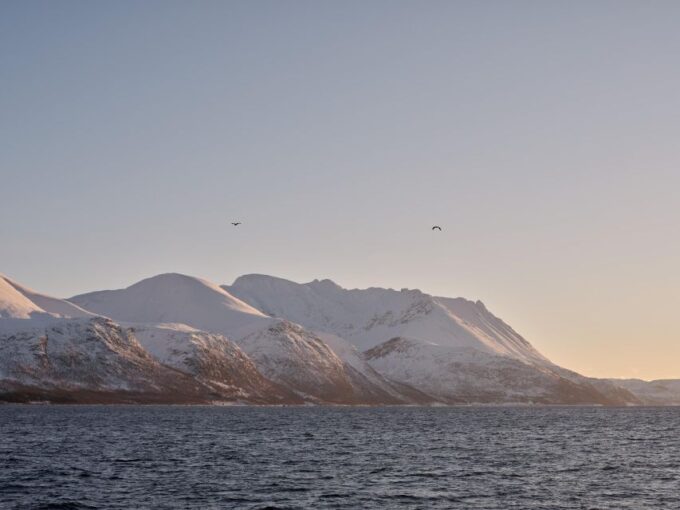 Tromsø: Arctic Fjord Cruise in Polar Landscapes - Sailing Through Polar Landscapes