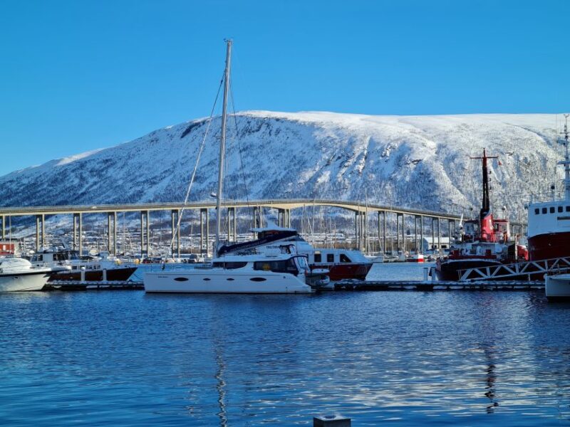Tromsø: Arctic Fjord Sightseeing Cruise in Luxury Catamaran - Key Points
