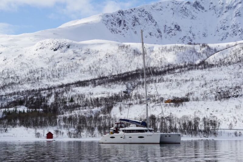 Tromsø: Arctic Fjord Sightseeing Cruise in Luxury Catamaran - Explore Arctic Fjords