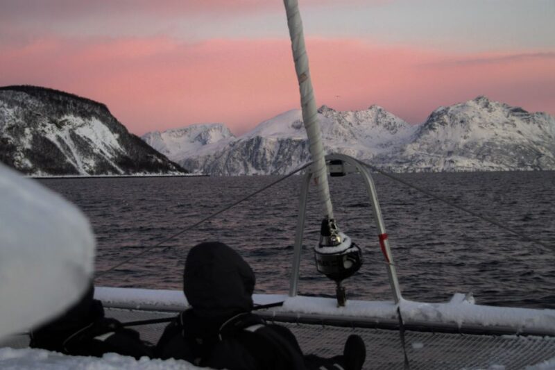 Tromsø: Arctic Fjord Sightseeing Cruise in Luxury Catamaran - Cruise Duration and Languages