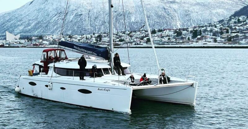 Tromsø: Arctic Fjord Sightseeing Cruise in Luxury Catamaran - Experience Highlights