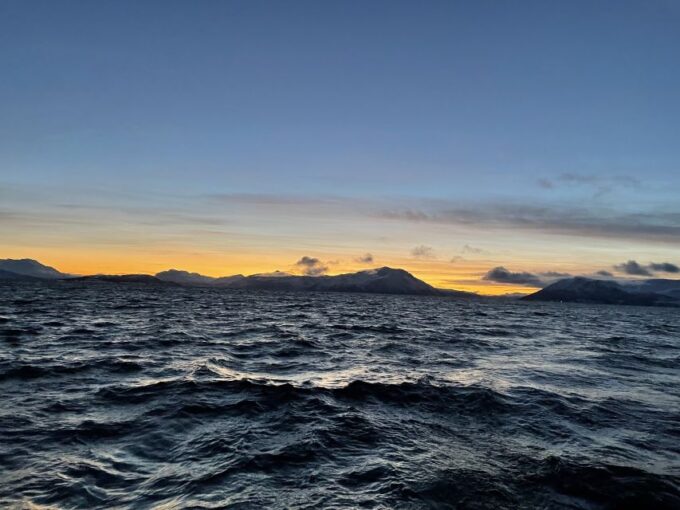 Tromsø: Arctic Fjord Sightseeing Cruise in Luxury Catamaran - Included Features