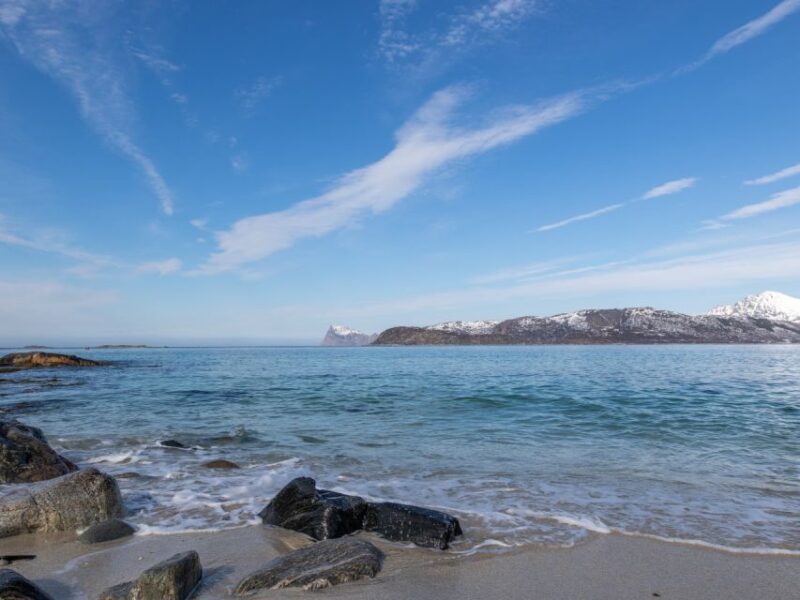 Tromso: Arctic Fjords and Sommarøy Scenic Day Trip - Key Points