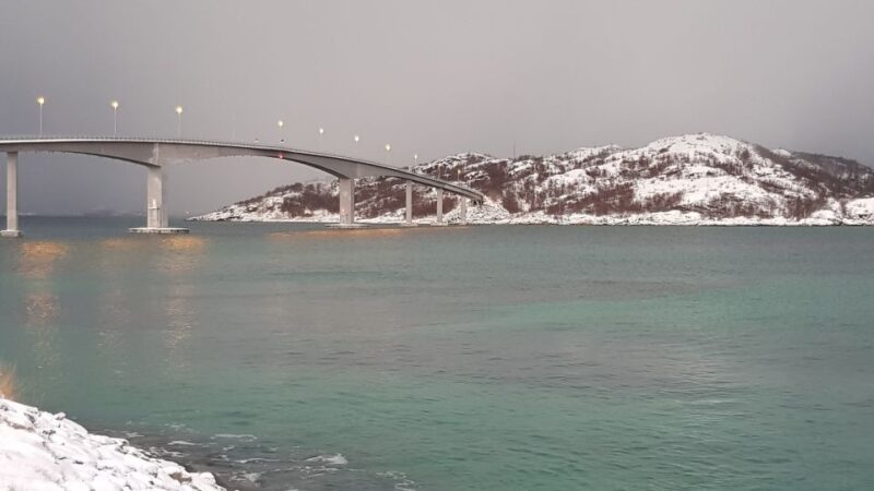 Tromso: Arctic Fjords and Sommarøy Scenic Day Trip - Included Services