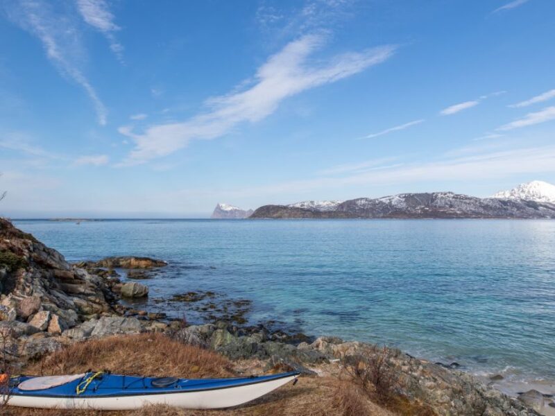 Tromso: Arctic Fjords and Sommarøy Scenic Day Trip - Recap