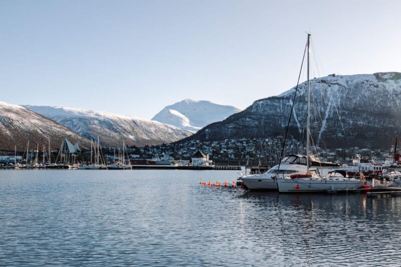 Tromsø: Arctic Flavors Food Walking Tour - Experience Highlights