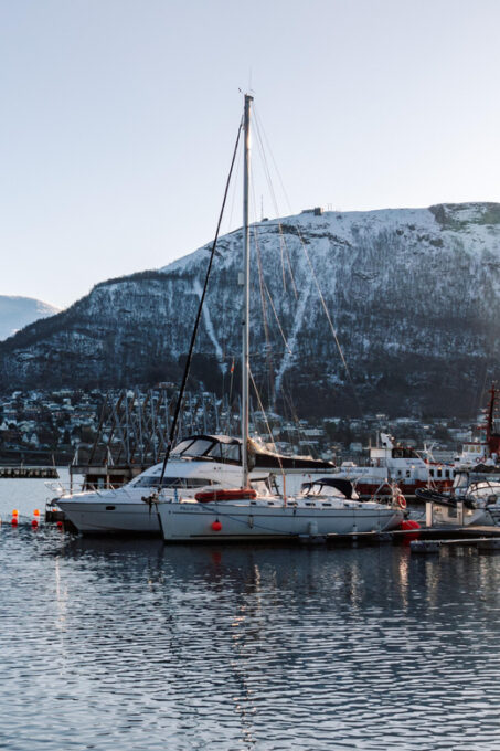 Tromsø: Arctic Flavors Food Walking Tour - Frequently Asked Questions
