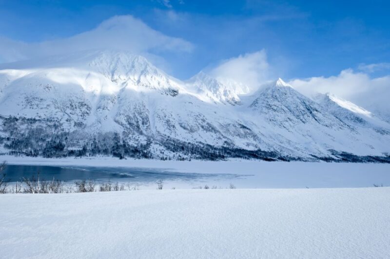 Tromsø: Arctic Landscape and Fjord Tour With Snacks - Scenic Experiences