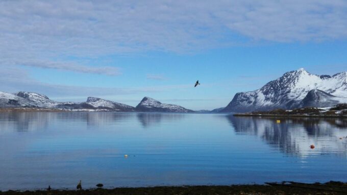 Tromsø: Arctic Landscape and Fjord Tour With Snacks - Transportation Provided