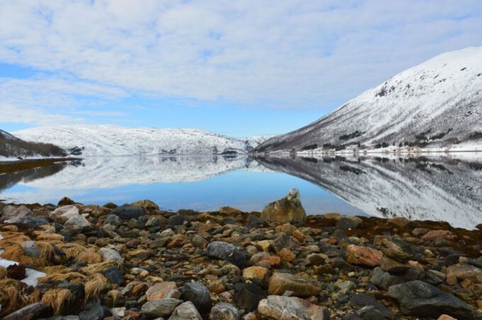 Tromsø: Arctic Landscape and Fjord Tour With Snacks - Recap