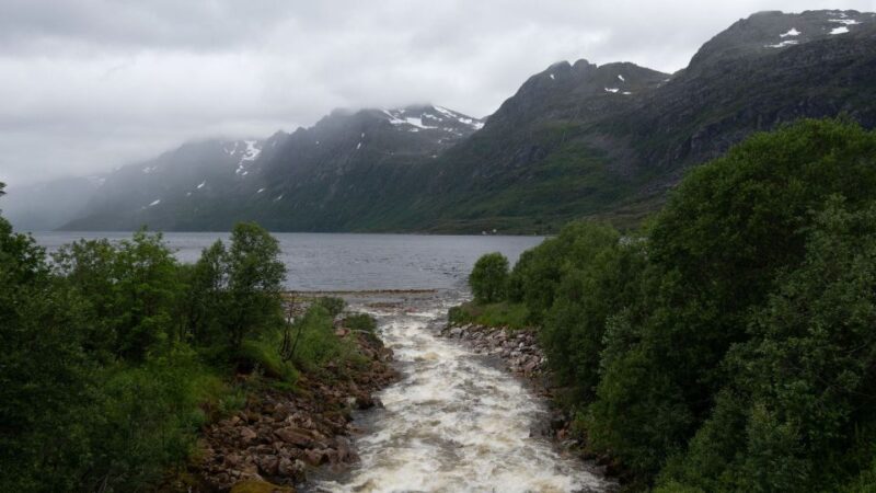 Tromsø: Arctic Landscapes Sightseeing With Citizen Science - Key Points