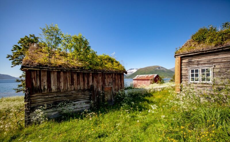 Tromsø: Arctic Landscapes Sightseeing With Citizen Science - Recommendations for Guests