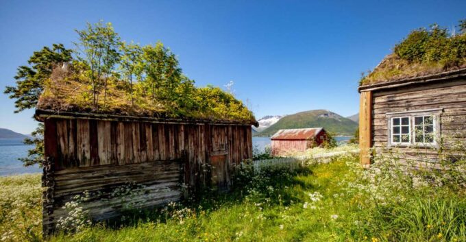Tromsø: Arctic Landscapes Sightseeing With Citizen Science - Recap