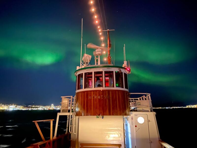 Tromsø: Arctic Light Evening Cruise With Fish Soup - Customer Feedback