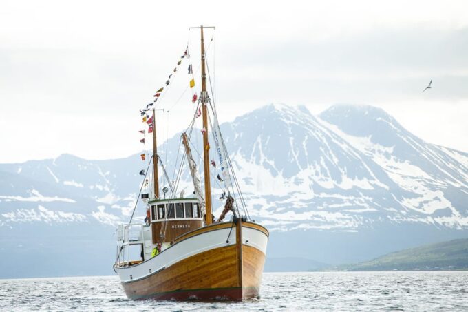 Tromsø: Arctic Light Evening Cruise With Fish Soup - Boat Specifications