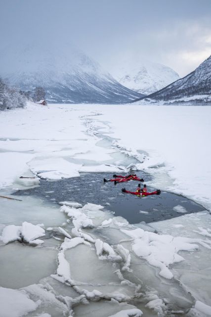 Tromsø: Arctic Ocean Floating Camp Rescue Suit Swimming - Key Points