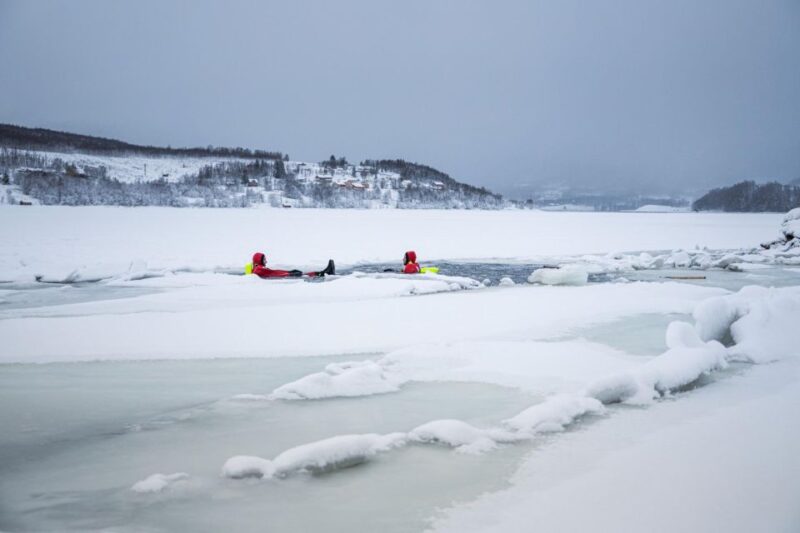 Tromsø: Arctic Ocean Floating Camp Rescue Suit Swimming - Recap