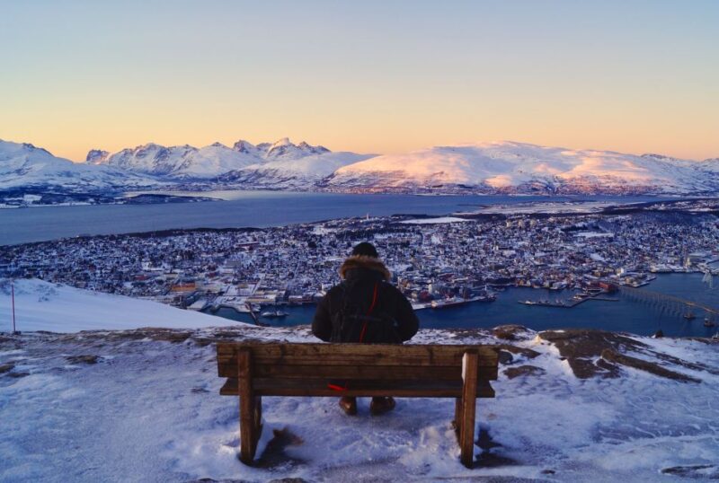 Tromso: Arctic Panorama Cable Car Excursion - Transportation and Access