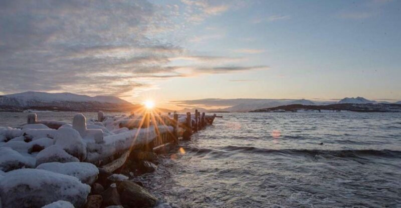 Tromsø: Arctic Sightseeing Tour & Citizen Science Project - Key Points