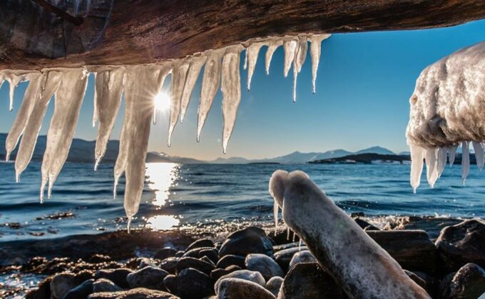 Tromsø: Arctic Sightseeing Tour & Citizen Science Project - Scenic Landscapes and Wildlife
