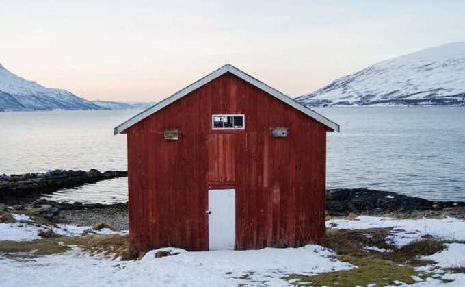 Tromsø: Arctic Sightseeing Tour & Citizen Science Project - Recap