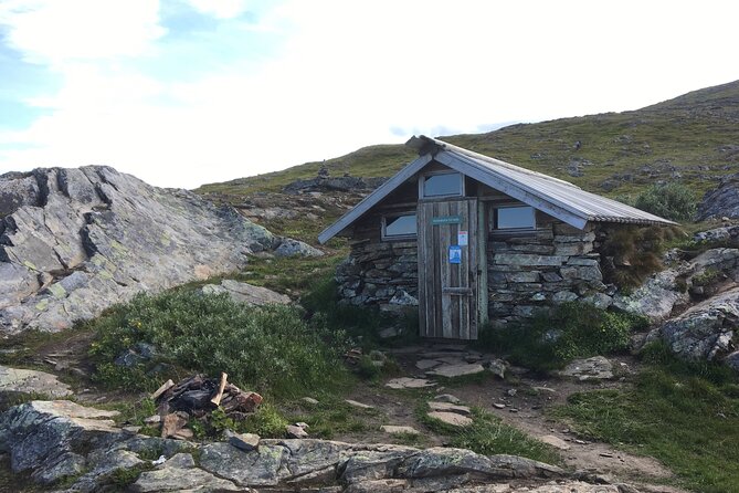 Tromsø Arctic Summer Adventure - Tour With a Local - Cancellation and Reviews
