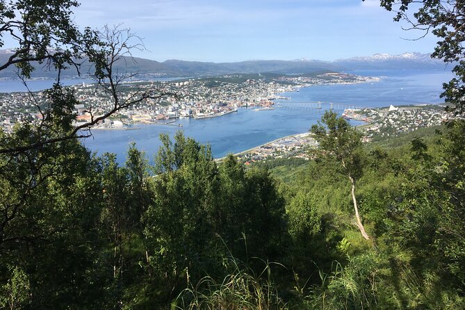 Tromsø Arctic Summer Adventure - Tour With a Local - Scenic Hiking Trail