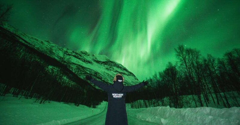 Tromsø: Aurora Borealis Chase With Guide, Meals & Campfire - Key Points