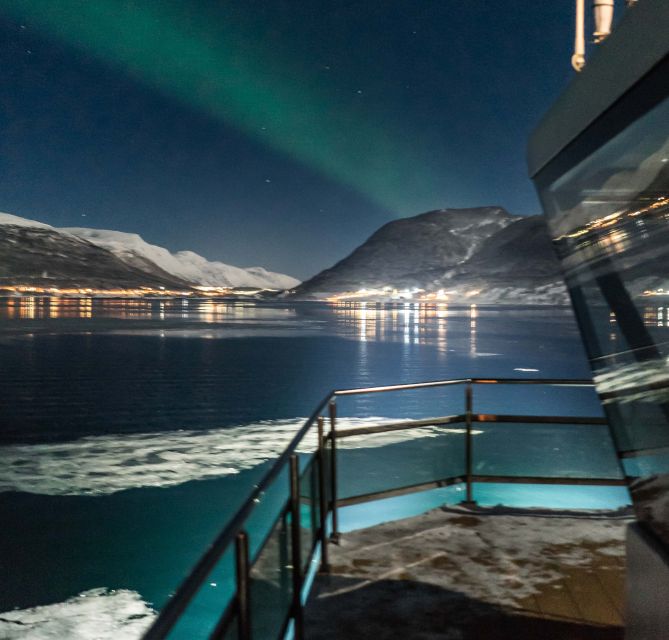 Tromsø: Aurora Dinner Cruise by Hybrid-Electric Catamaran - Meeting and Departure Instructions
