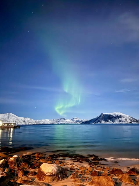 Tromso: Aurora Tour Hygge Magic Experience.(Wifi Free) - Key Points