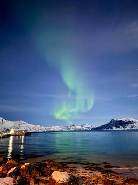 Tromso: Aurora Tour Hygge Magic Experience.(Wifi Free) - Experience Highlights
