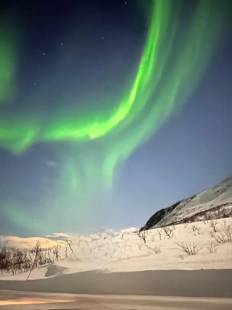 Tromso: Aurora Tour Hygge Magic Experience.(Wifi Free) - Itinerary Details