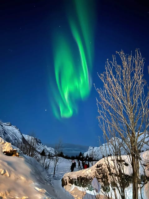 Tromso: Aurora Tour Hygge Magic Experience.(Wifi Free) - Whats Included