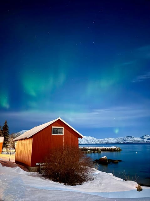 Tromso: Aurora Tour Hygge Magic Experience.(Wifi Free) - Languages Offered