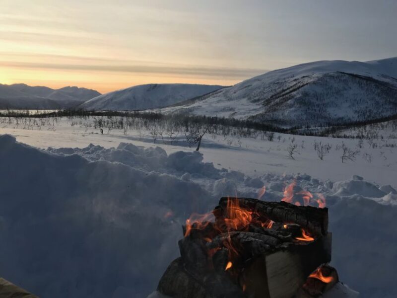Tromsø: Beginner-Friendly Nordic Wilderness Skiing Tour - Booking and Availability