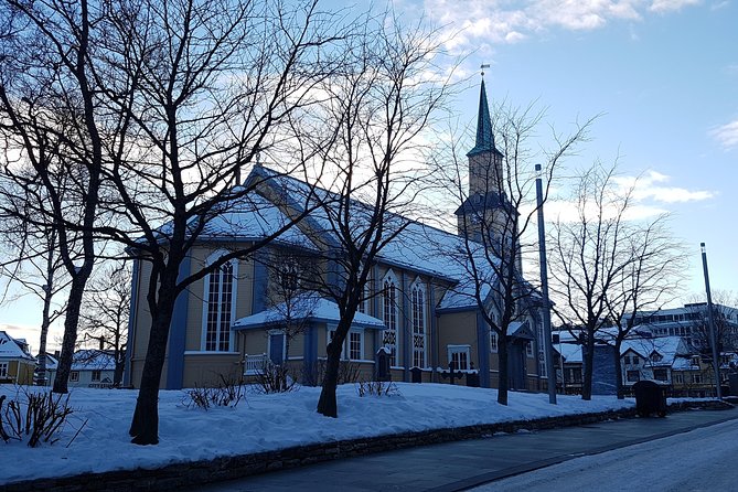 Tromsø City Walk - Guest Experiences