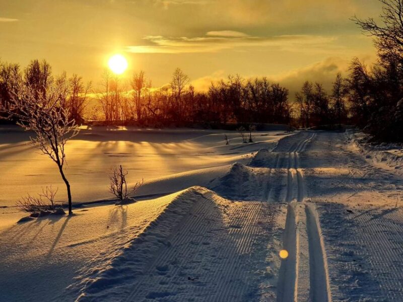 Tromsø: Cross Country Course With a Guide and Views - Cross-Country Skiing Instruction