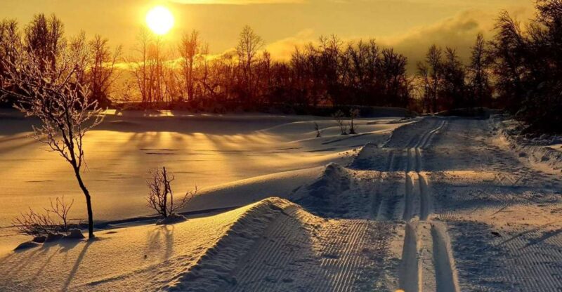 Tromsø: Cross Country Course With a Guide and Views - Refreshments and Snacks Included